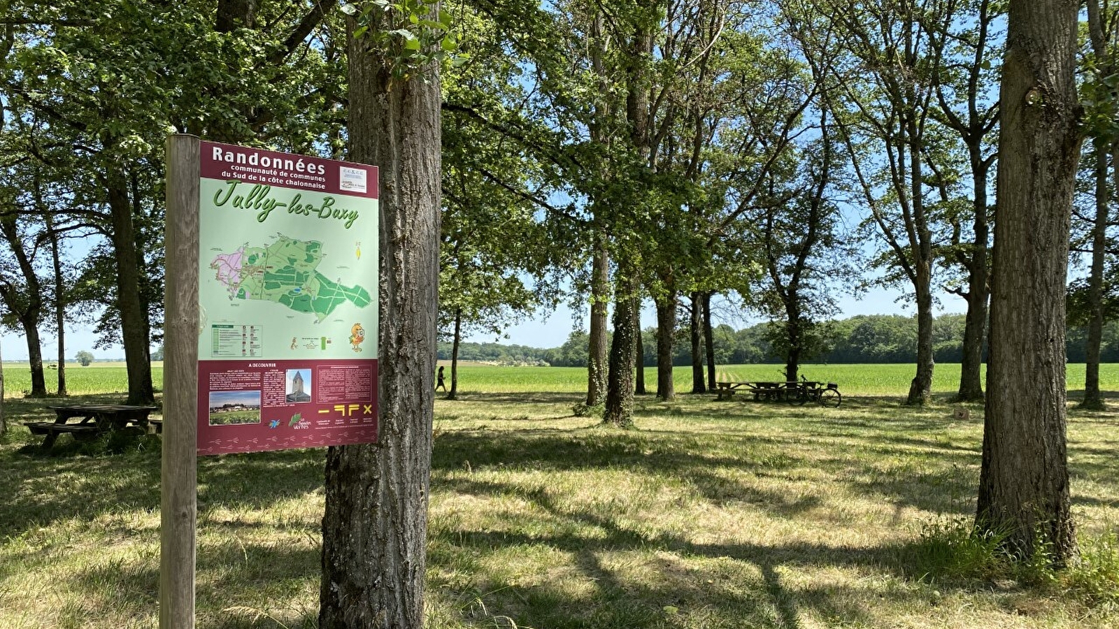 De la forêt au coteau