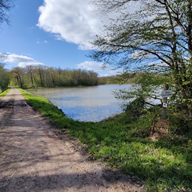 Circuit VTT du Bazois : entre bocage et Bois de Dély