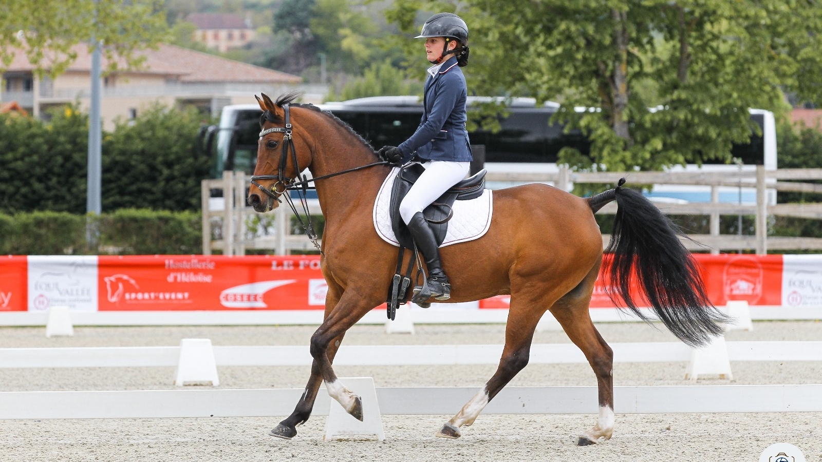 Concours Hippique - Dressage club