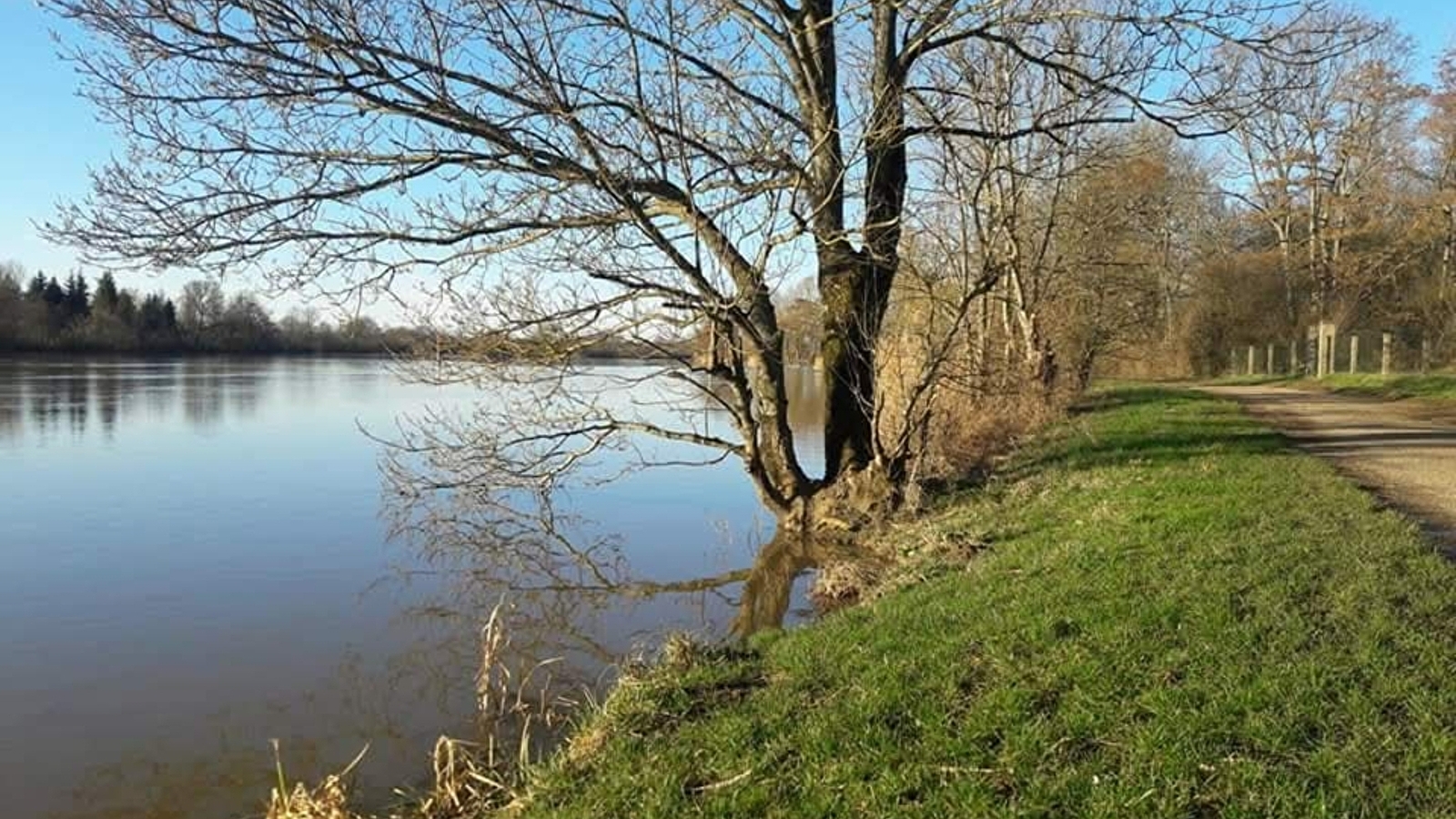 A vélo, découvrez les paysages du bord de Saône entre Auxonne et Pontailler sur Saône - ENS 2025 (2)