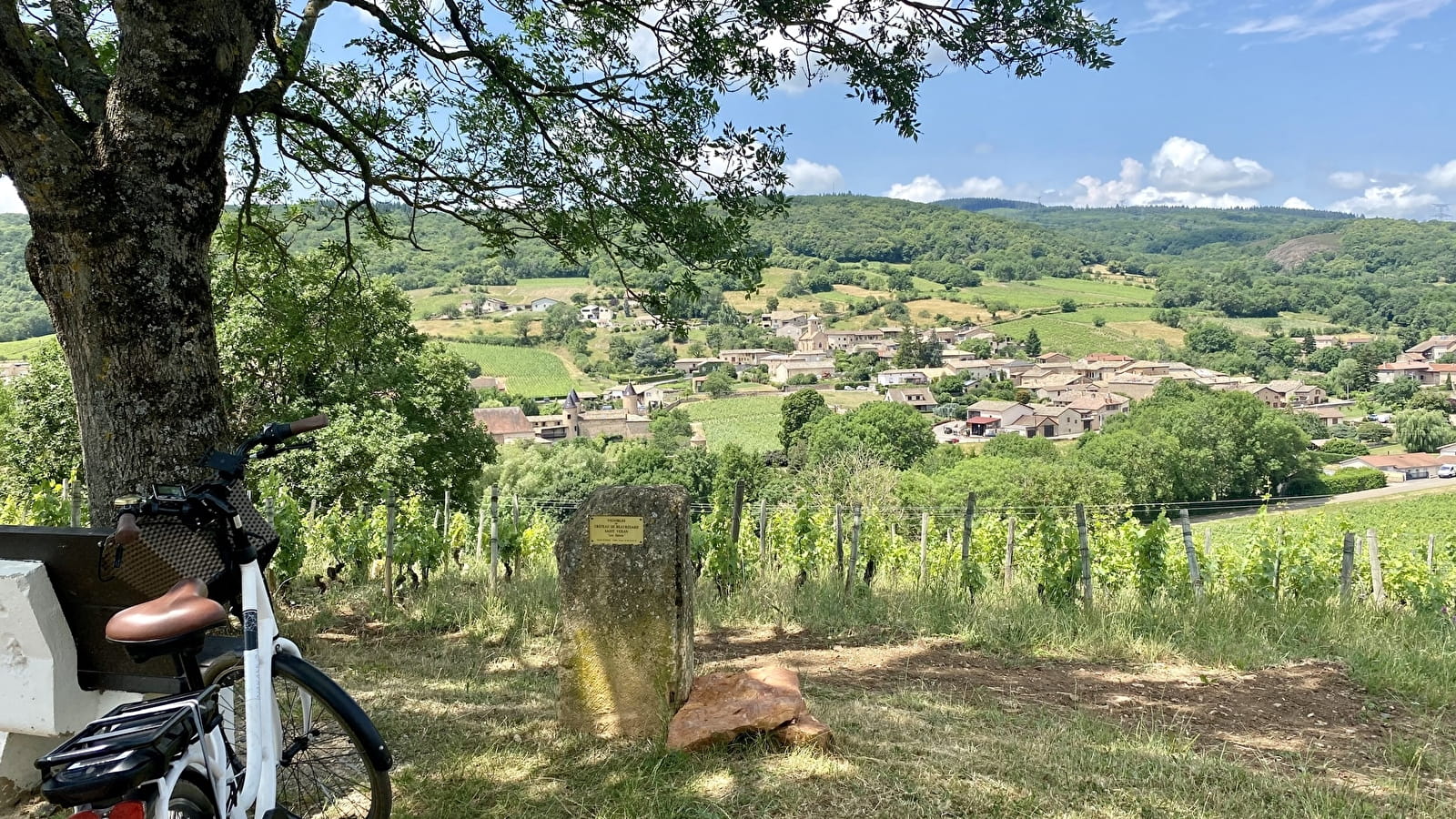 La VélOeno71 : dans les sillages du joyeux Gamay