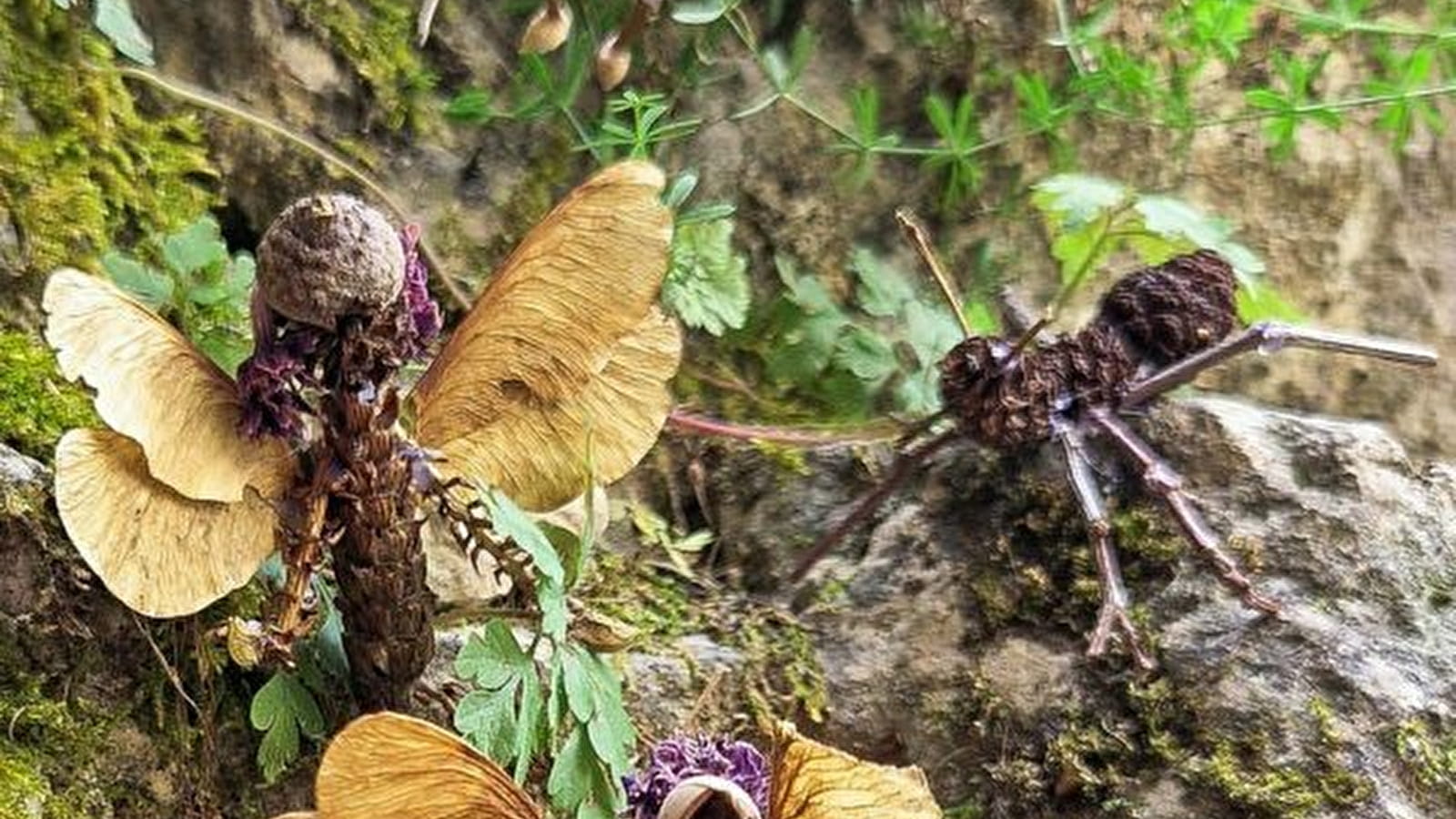 ATELIER LAND ART : SURPRENANTE NATURE