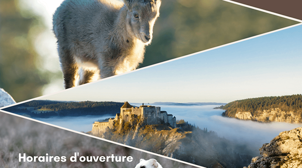 Exposition photo Paysages et Animaux sauvages du Haut-Doubs Du 2 janv au 27 fév 2025