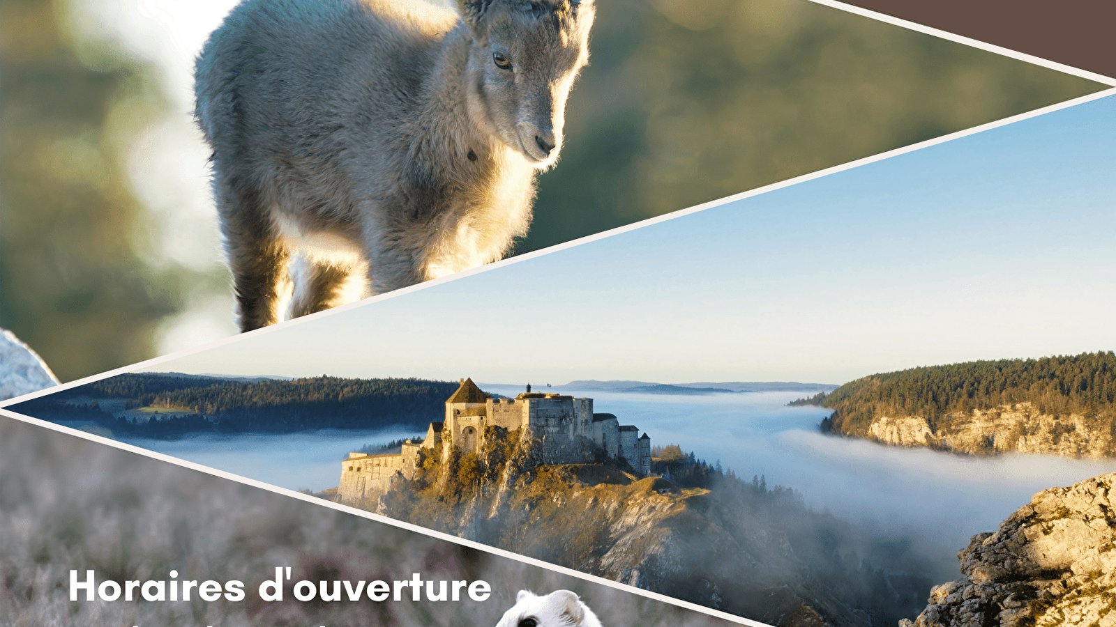 Exposition photo Paysages et Animaux sauvages du Haut-Doubs