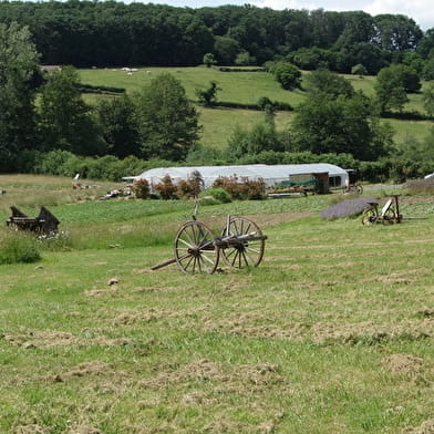 La ferme des senteurs retrouvées