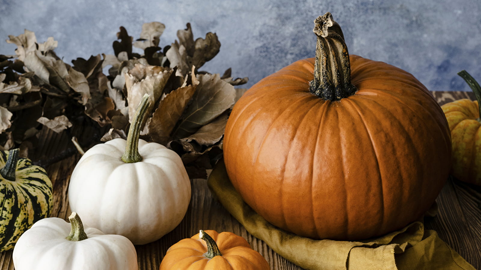 Repas cucurbitacées et couleurs d'automne