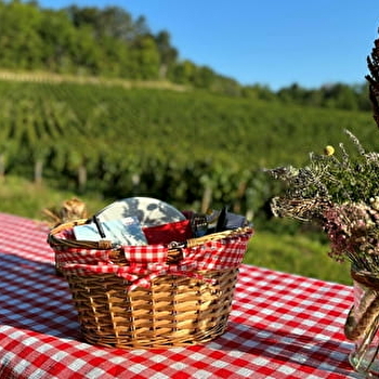 Fantastic Picnic Gastronomique dans les Vignes - BEINE