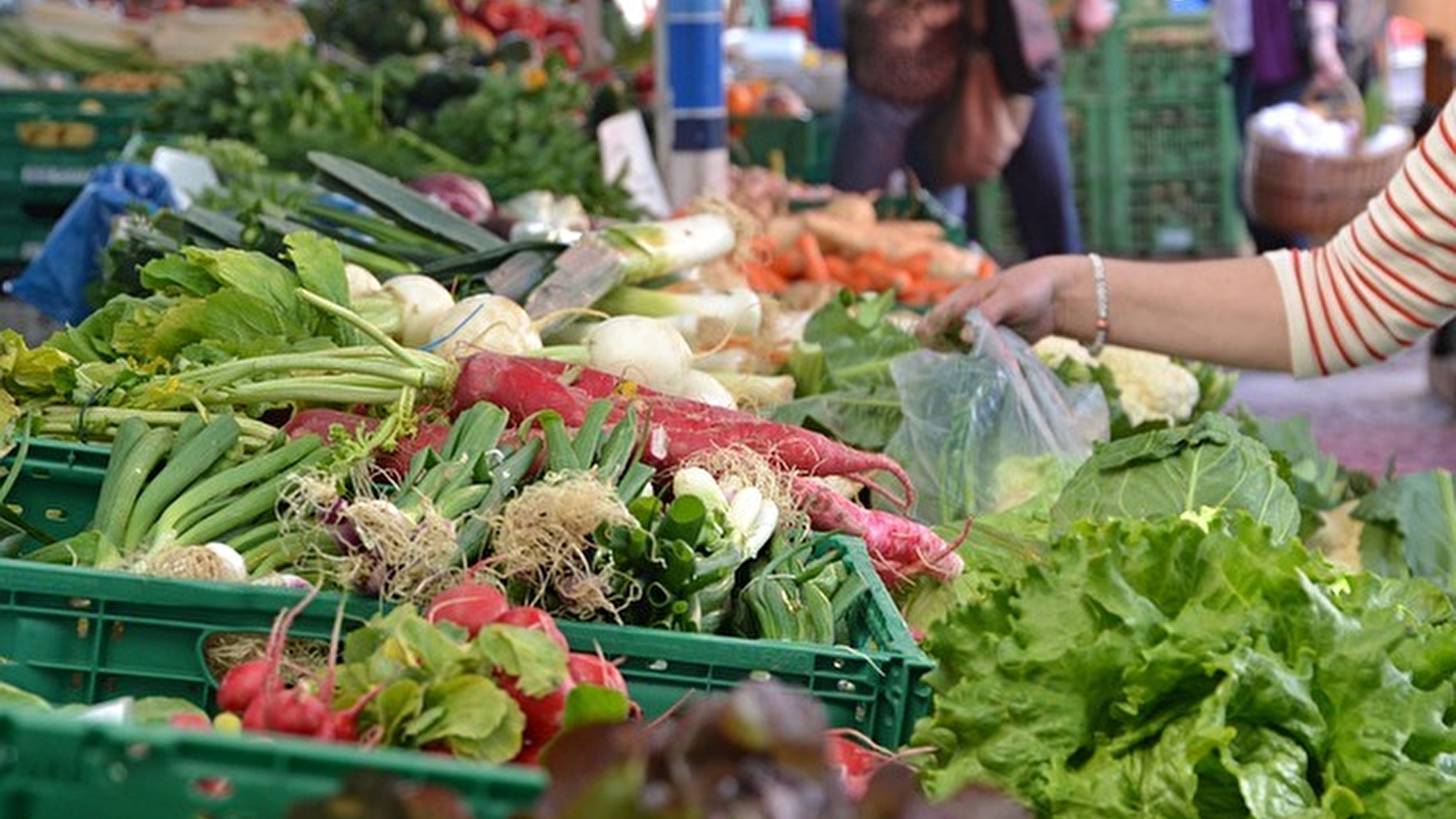 Marché de Nevers : A la Grande Pâture