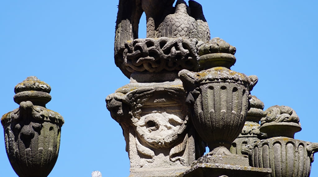 Le quartier cathédral et les oiseaux de la ville - Les... Le 21 sept 2024