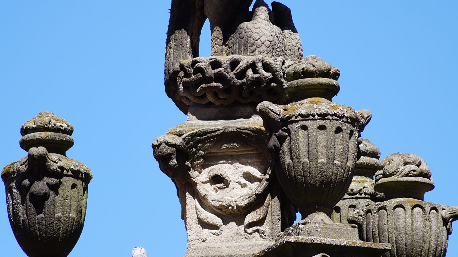 Le quartier cathédral et les oiseaux de la ville - Les journées du patrimoine