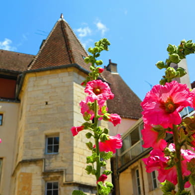 Journées du Patrimoine visite commentée de l'Hôtel de Conflans