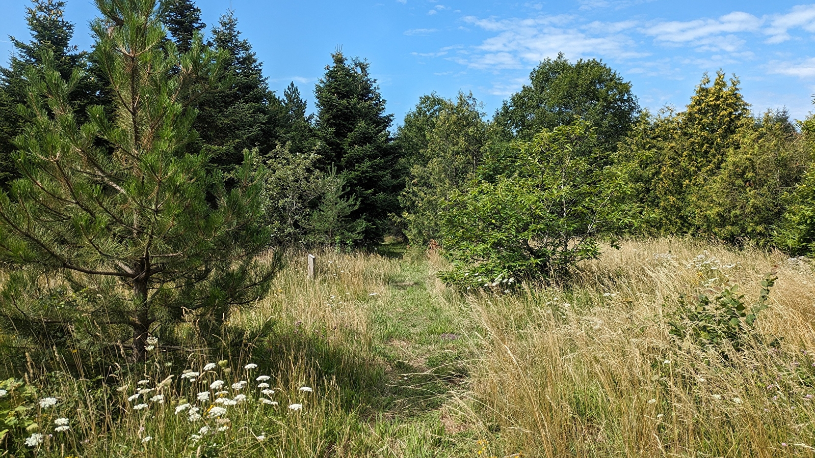 Le chemin de la République