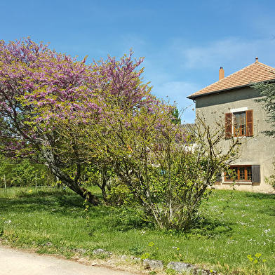 Des Histoires d'Anges Côté Jardin