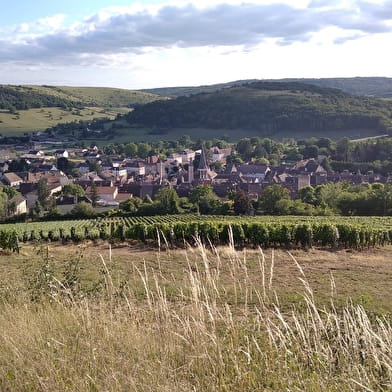 Cité médiévale - Saint-Gengoux-le-National