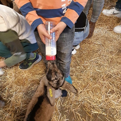 La Ferme du Port Aubry