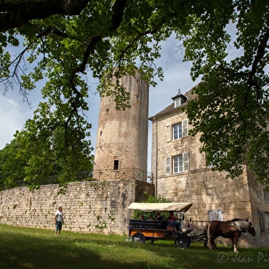 Balade en Calèche