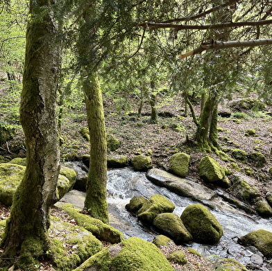 Cascade de Brisecou