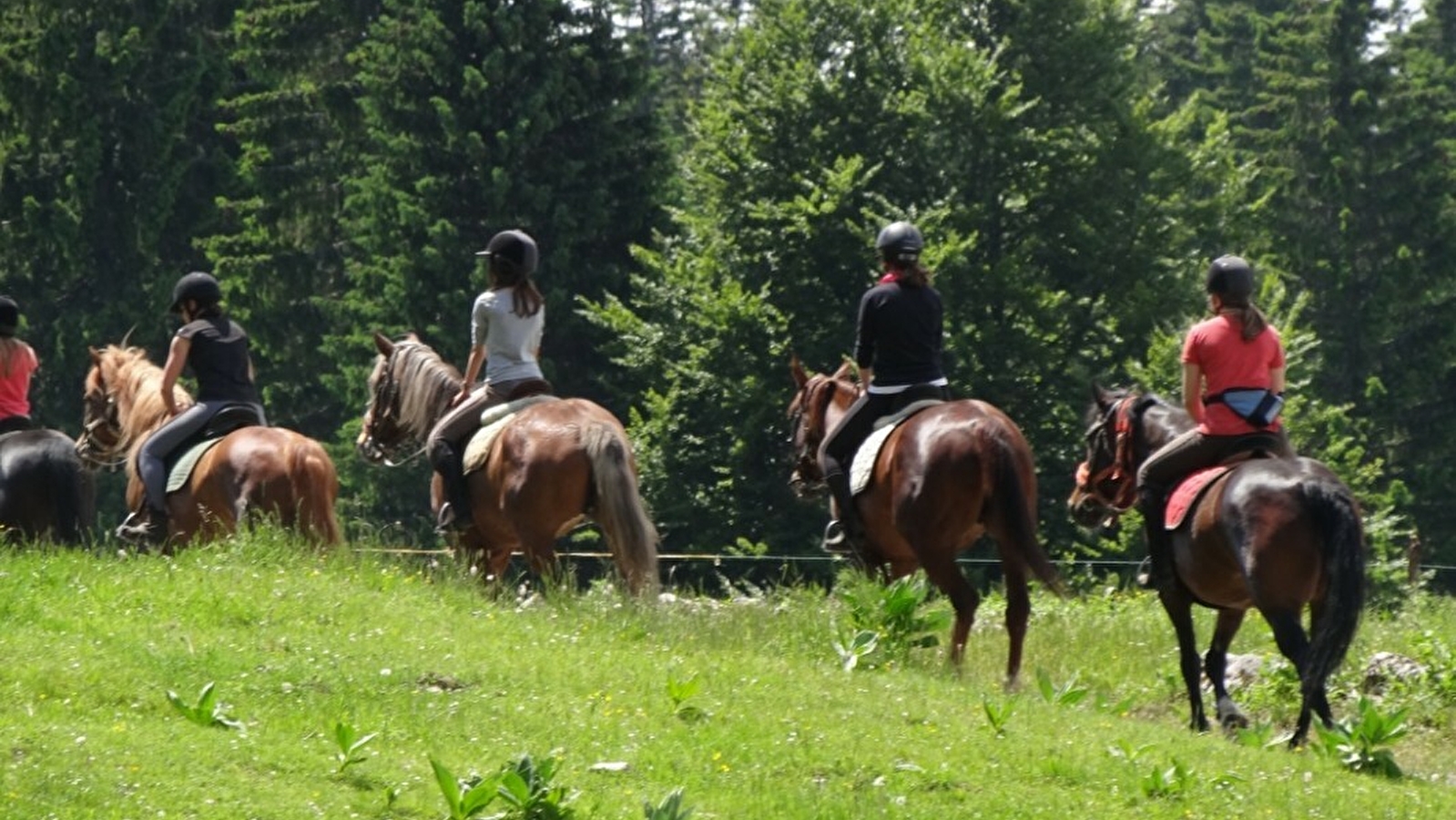 Randonnée à cheval : niveau confirmé