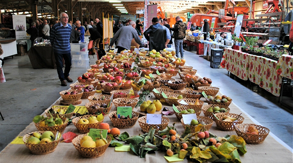 Marché du Terroir et Randonnée Octobre Rose à... Le 20 oct 2024