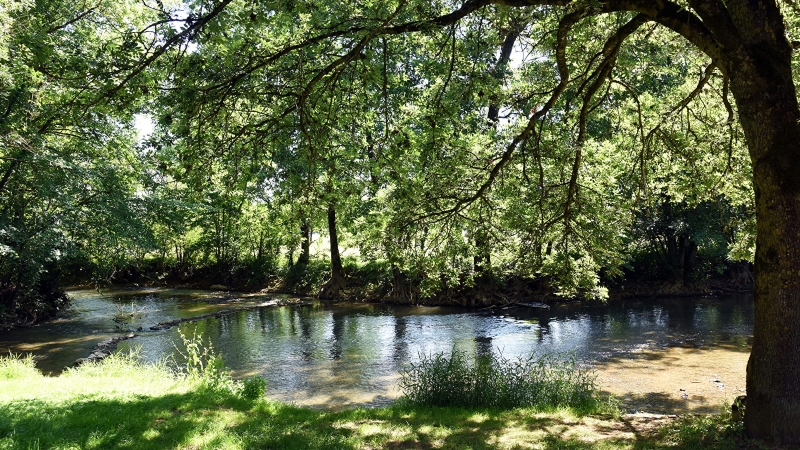 ANNULÉ - Fantastic Picnic au Trou d'Argot