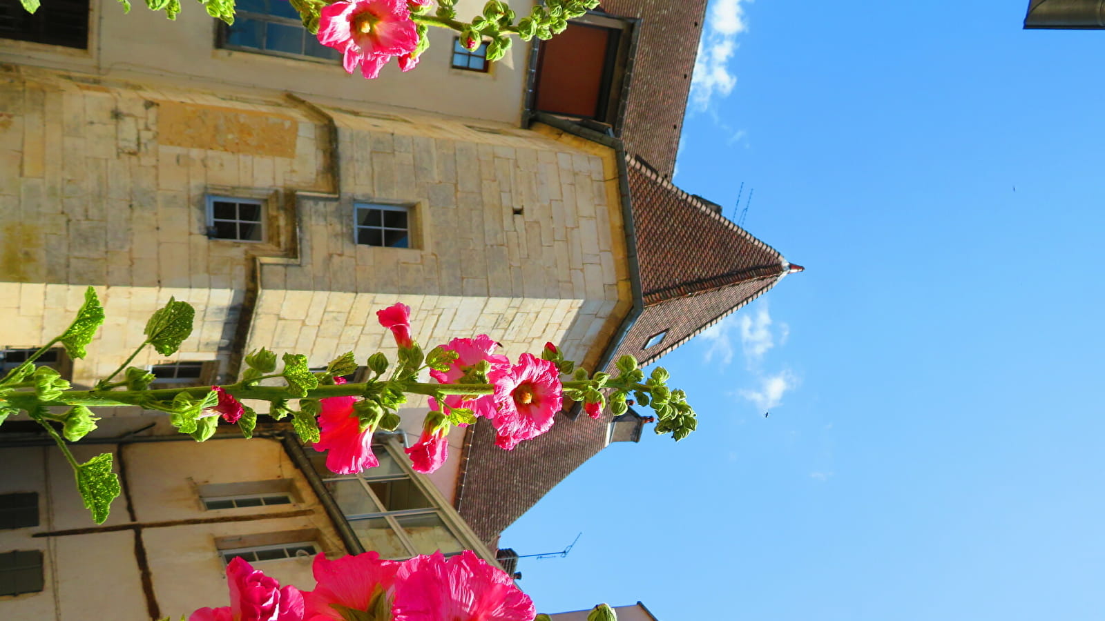 Journées du Patrimoine visite commentée de l'Hôtel de Conflans