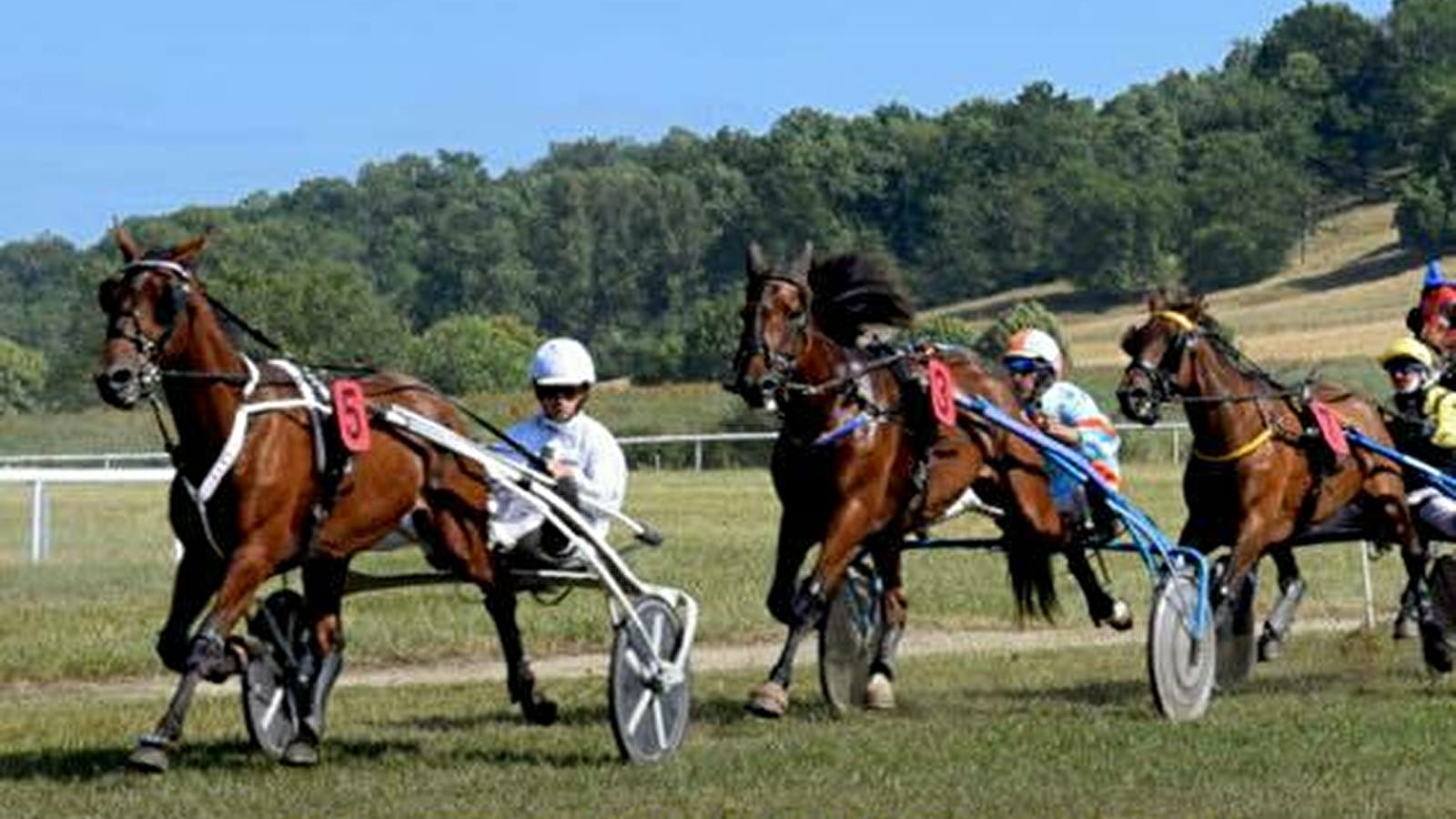 Courses Hippiques à l'hippodrome de Vitteaux