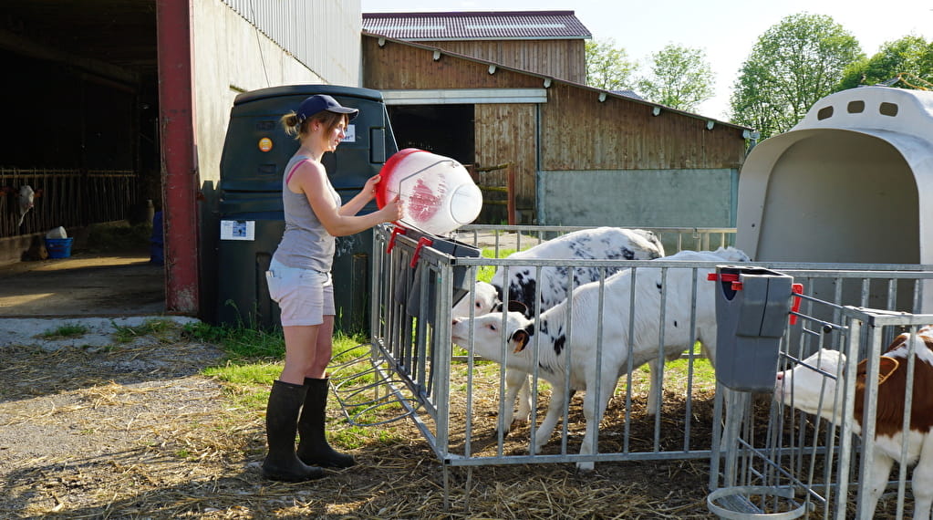 Visite de ferme Du 1/1/2024 au 1/1/2025