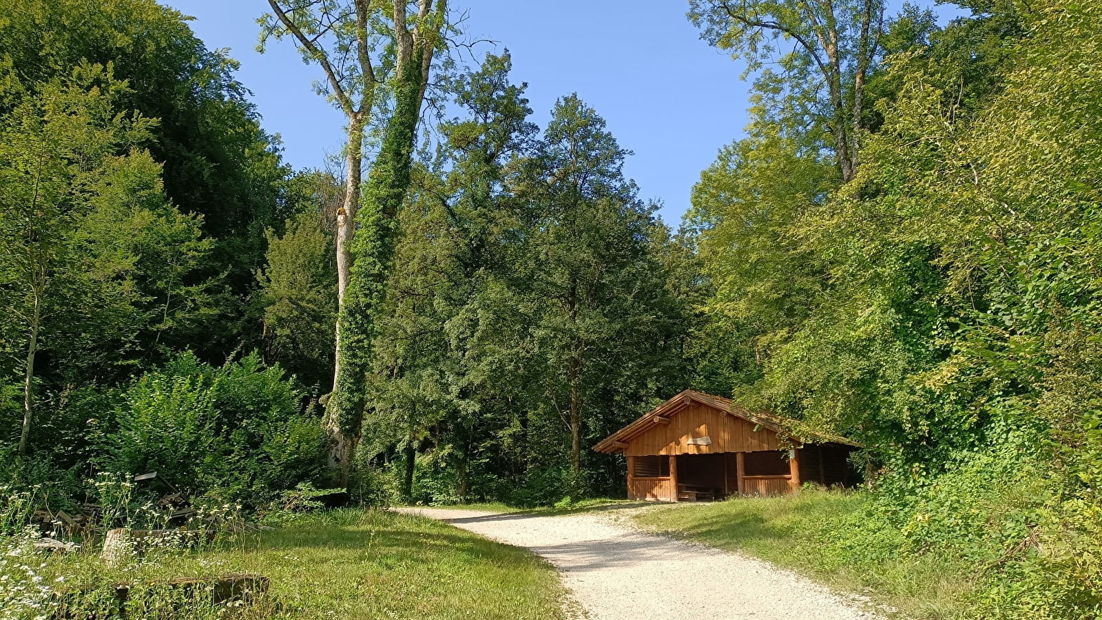 Circuit du Bois de Villars-Sous-Écot Monument du Maquis