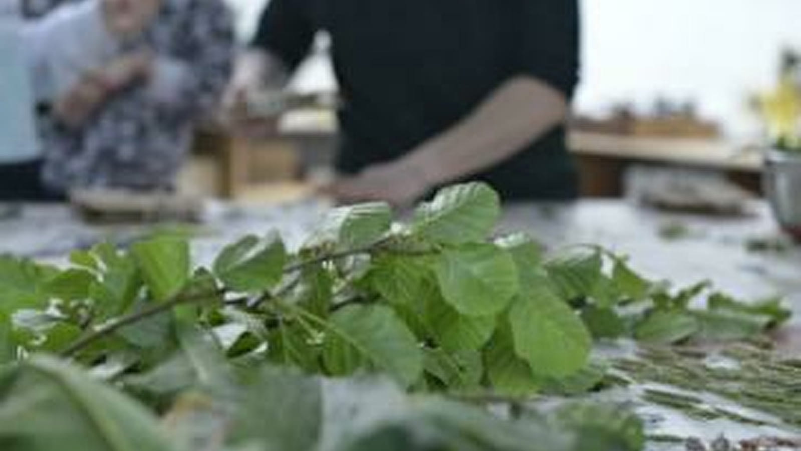 Un herbier minéral