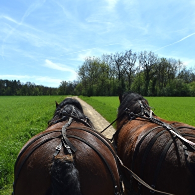 Les attelages de l'Auxois