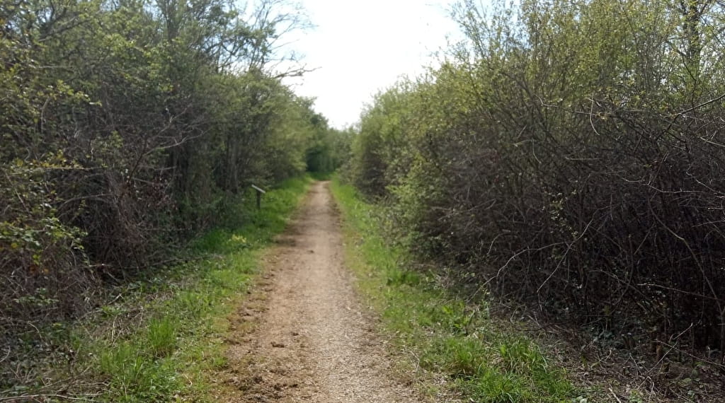 Découverte du dernier marais péri-urbain de la Nièvre