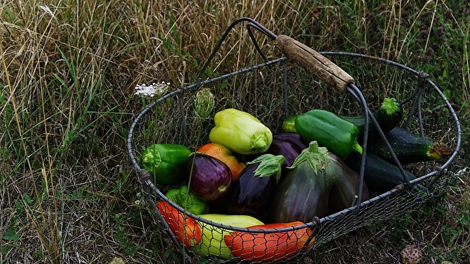 Marché de Pougues-les-Eaux