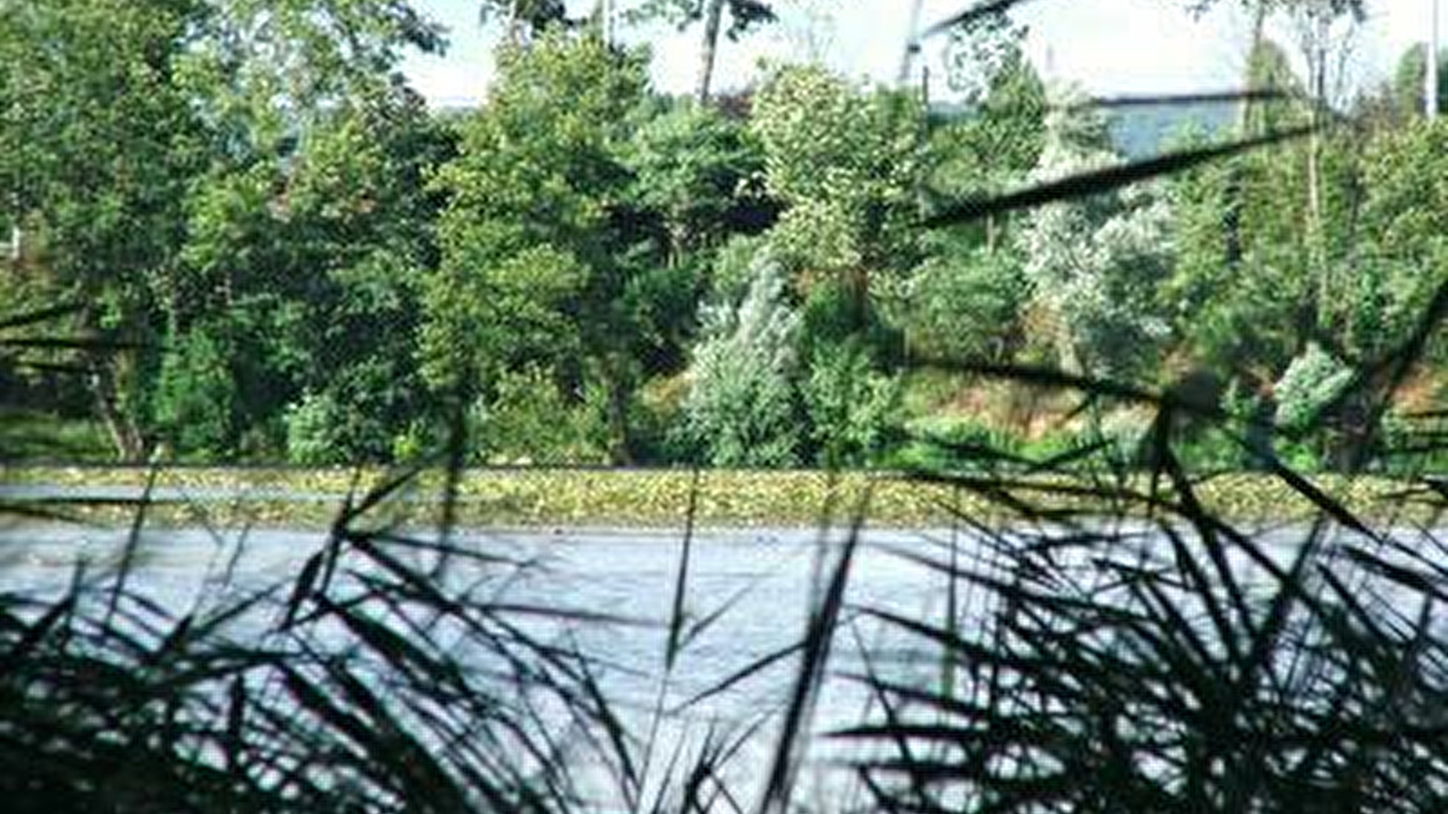 Parc de la Ballastière-Sennepy