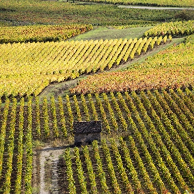 Chemins de Bourgogne