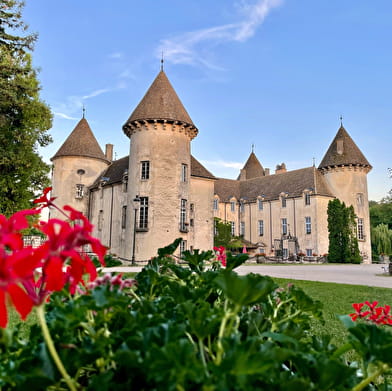 Château de Savigny