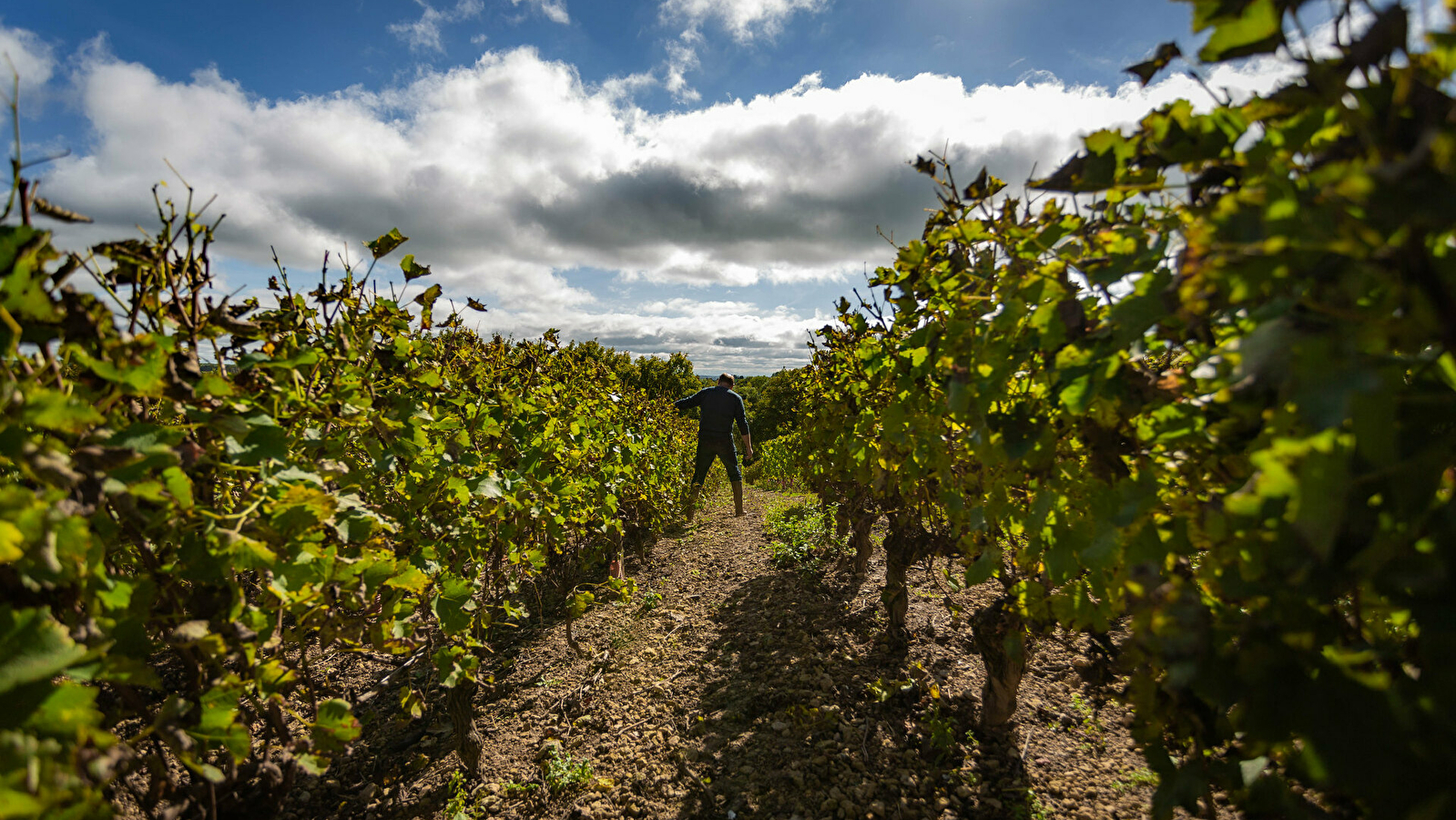 Domaine de Poulanges