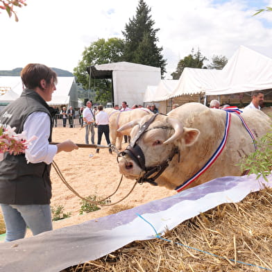 Foire économique Autun