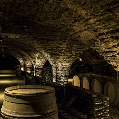 Caves Patriarche Père & Fils - Visite Dégustation Liberté 