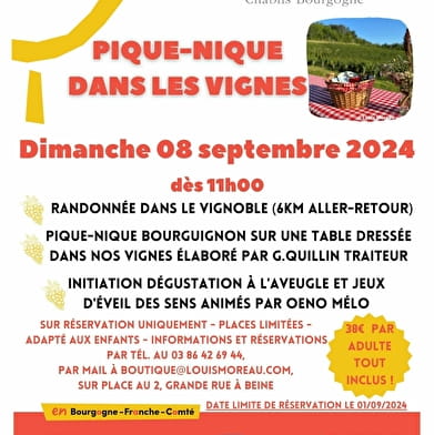 ANNULE : Fantastic Picnic Gastronomique dans les Vignes