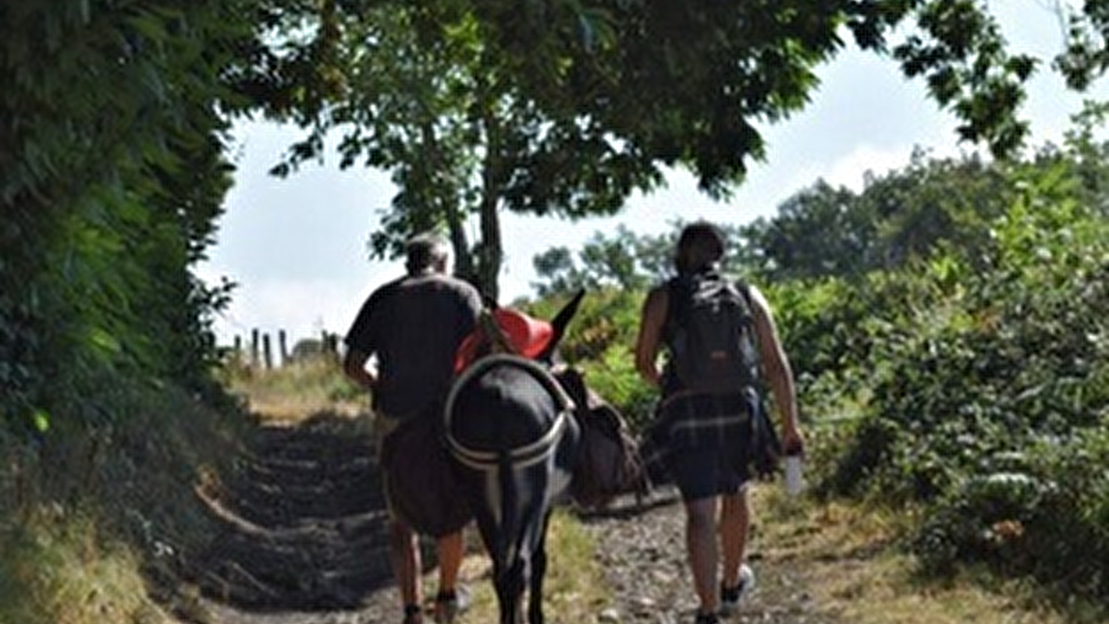 Bibracte fête la nature