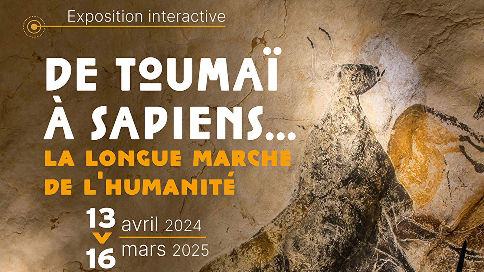 De Toumaï à Sapiens... La longue marche de l'humanité