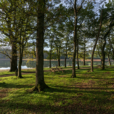 Lac de Montaubry - Plage des Patins