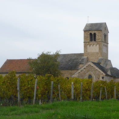 Cave des Vignerons d'Ige