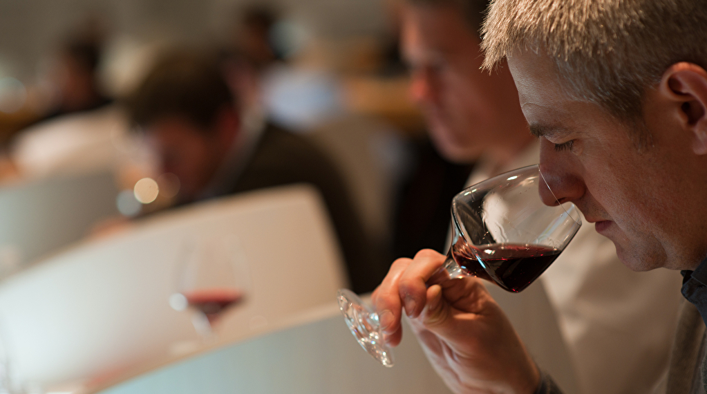 Journée dégustation des vins de Bourgogne