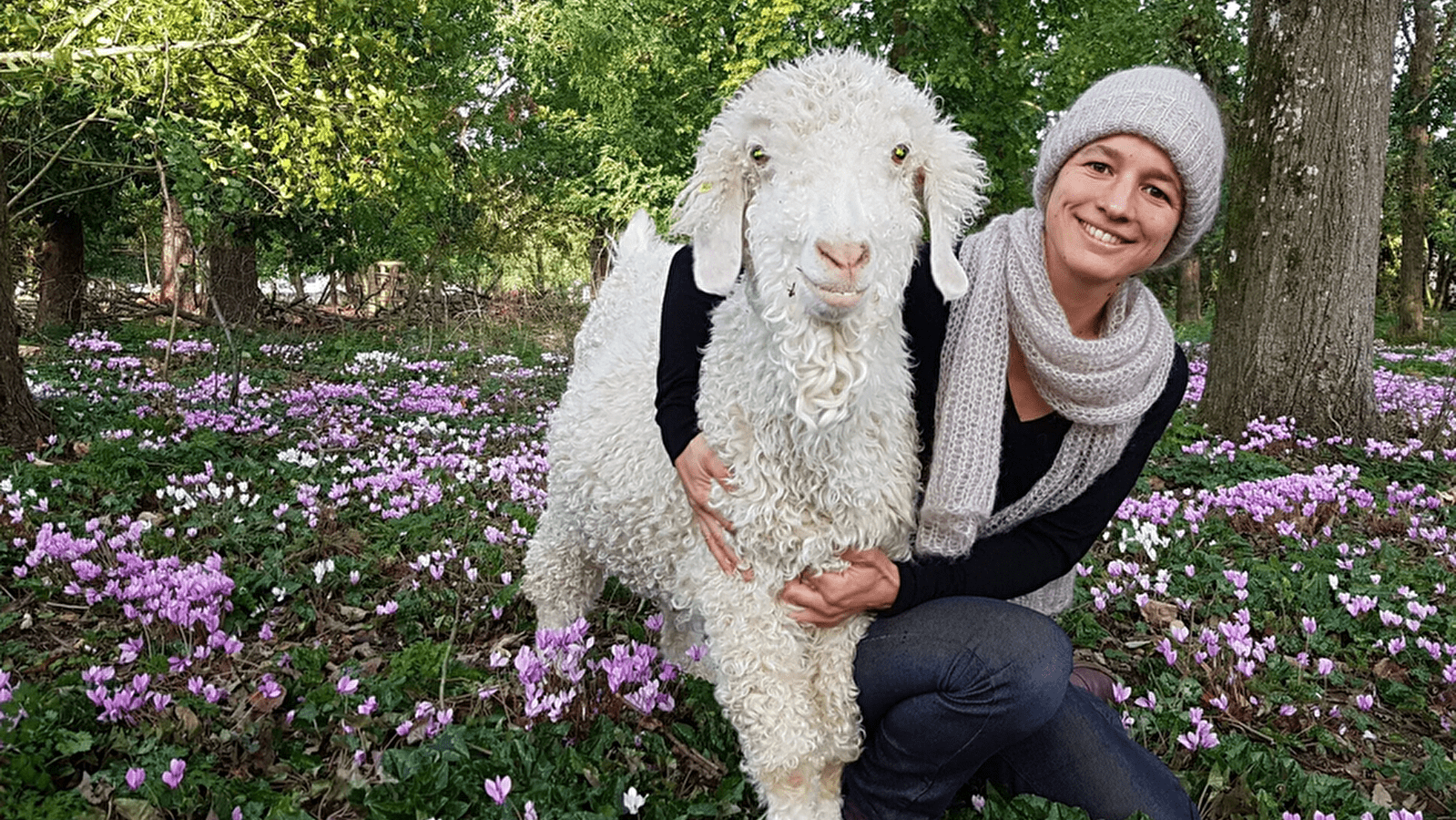 Atelier à la ferme autour des chèvres Angora et de la laine