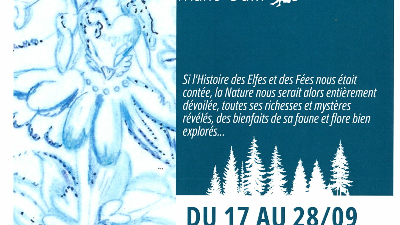 L'Histoire des Elfes et des Fées