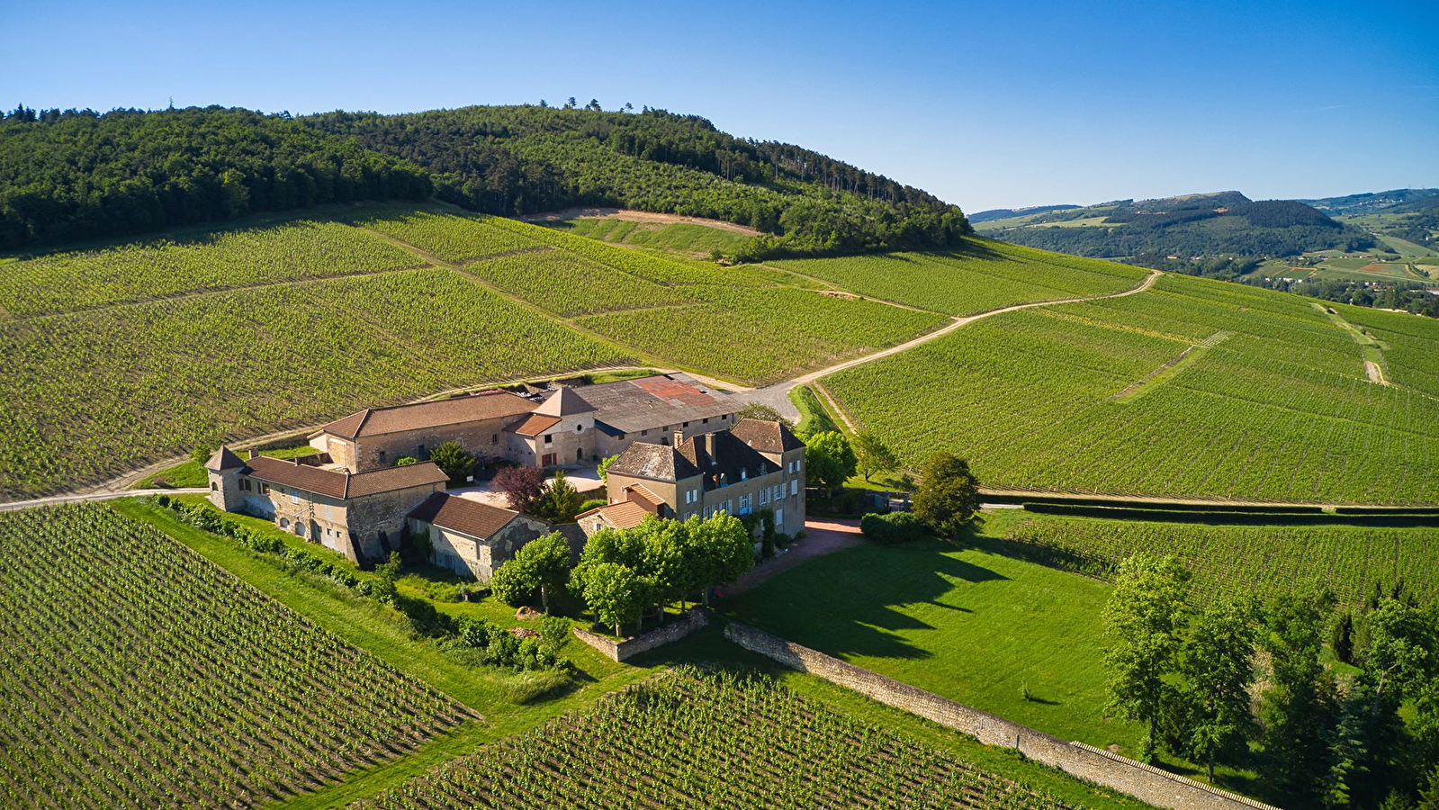 Musée de la Vigne et du Vin