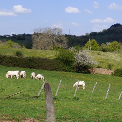 Du Val Lamartinien au Haut-Mâconnais - De Bourgvilain à Azé