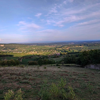 Du Val Lamartinien au Haut-Mâconnais - De Bourgvilain à Azé