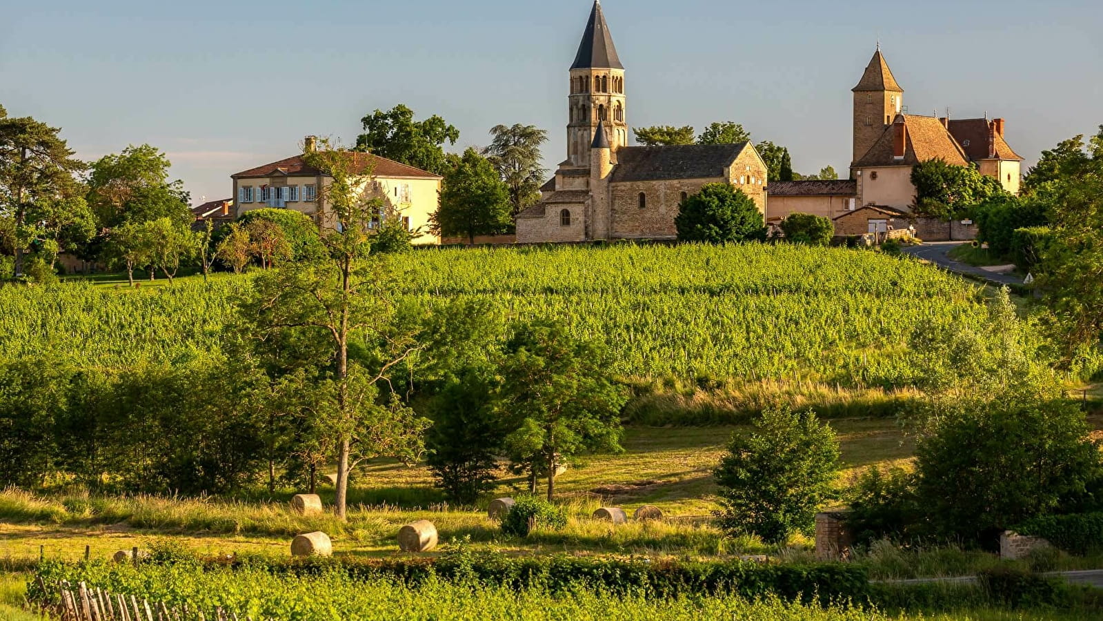 Entre blanc et rouge - Crêches-sur-Saône - Le bourg